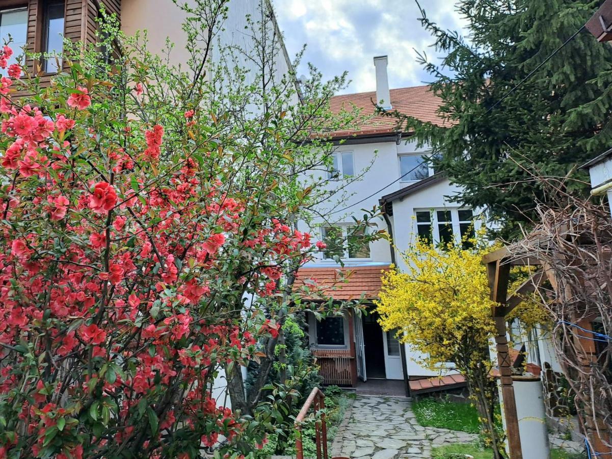 7 Level Central Apartments Miercurea Ciuc Dış mekan fotoğraf